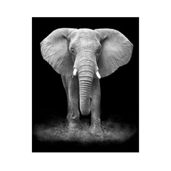 elefanteblancoynegro-pinturapornumeros