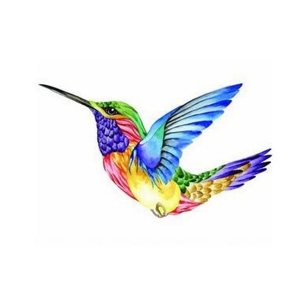 colibri-pintarpornumeros