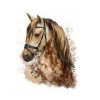 Caballo Cafe - Pintar por Números - Imagen 7