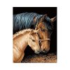 CABALLOS-cafe-PINTURA-POR-NUMEROS