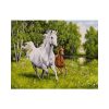 CABALLO-BLANCO-Y-CAFE-PINTURA-POR-NUMEROS