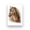 CABALLO-HIPPIE-PINTURA-POR-NUMEROS