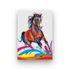 CABALLO-DE-COLORES-PINTURA-POR-NUMEROS