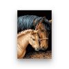 CABALLOS-cafe-PINTURA-POR-NUMEROS