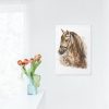 CABALLO-HIPPIE-PINTURA-POR-NUMEROS