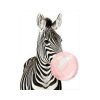 CEBRA-CON-GLOBO-PINTURA-POR-NUMEROS-1