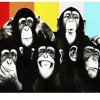 Monos-Pintura por numeros