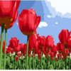Tulipanes Rojos Pintura por numeros flores