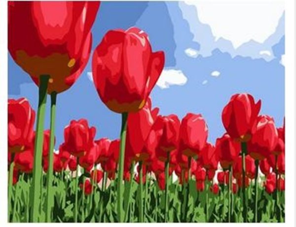 Tulipanes Rojos Pintura por numeros flores