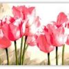 Flores - Tulipanes rosados - Pintura por numeros