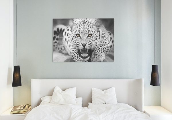 Leopardo en Blanco y Negro - Pintar por Números