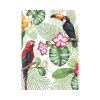 tucan-para-pintar-por-numeros-guacamaya-para-pintar-por-numeros