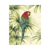 Guacamaya-pintar-por-numeros
