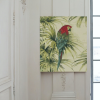 Guacamaya-pintar-por-numeros