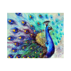 Pavo real Pintura por Diamantes: Kit Todo en Uno con Herramientas de Alta Calidad
