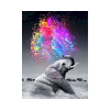 Elefante de colores Pintura por Diamantes: Kit Todo en Uno con Herramientas de Alta Calidad